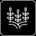 Agriculture-icon