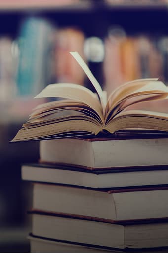 Education (EdTech)